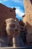 Ramses II am Luxor-Tempel